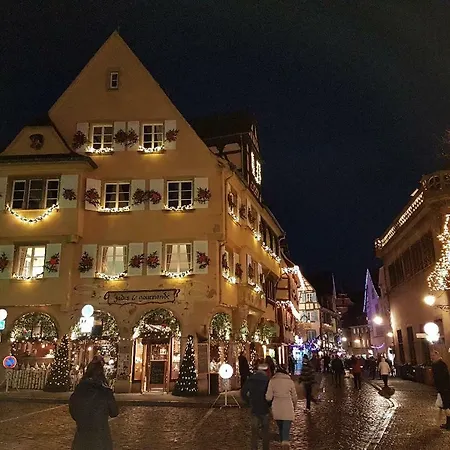 Du Neuland Apartment Colmar